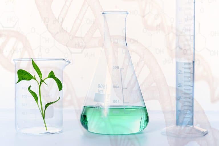 This plant, flask, and graduated cylinder have something to do with what non-GMO means