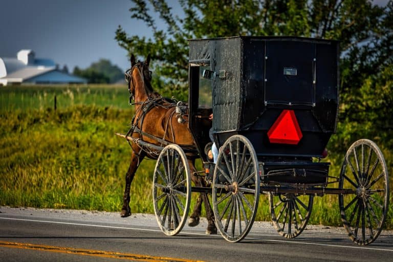 What is the Amish religion? This horse and buggy are part of the answer