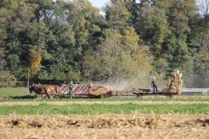 These farmers in Lancaster County, PA, do not watch political ads