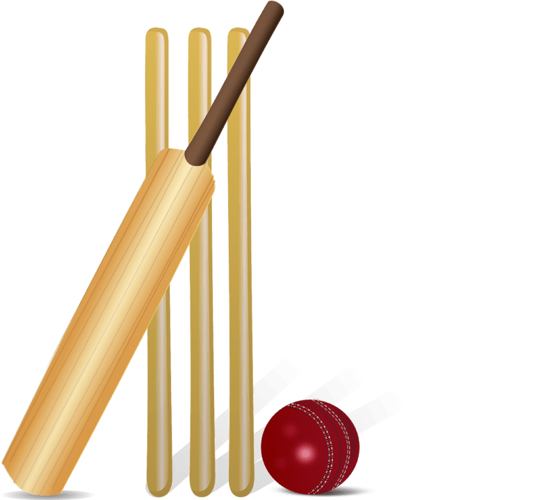 What's T20 cricket? This bat, ball, and wicket are part of the answer