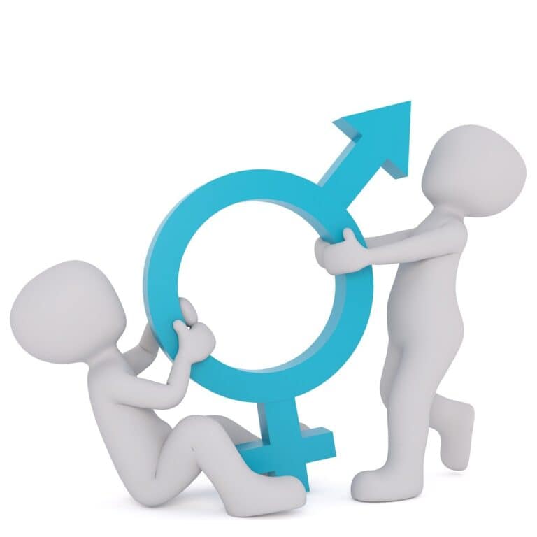 Two figures fighting over a gender identity symbol