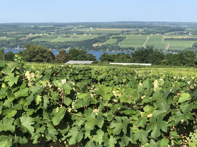 What are the Finger Lakes? This look at Seneca Lake has all the answers