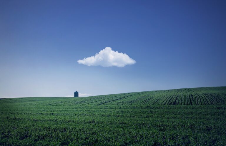 Green fields, as seen in rural America