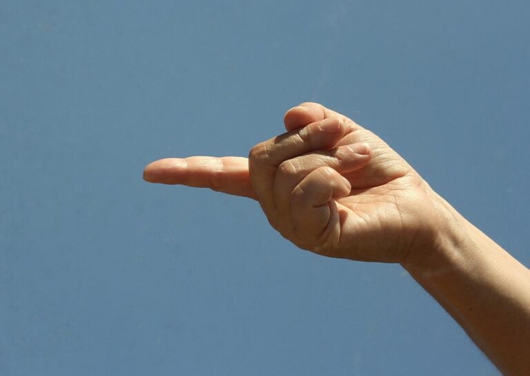 When Western New York finally gave Downstate the finger