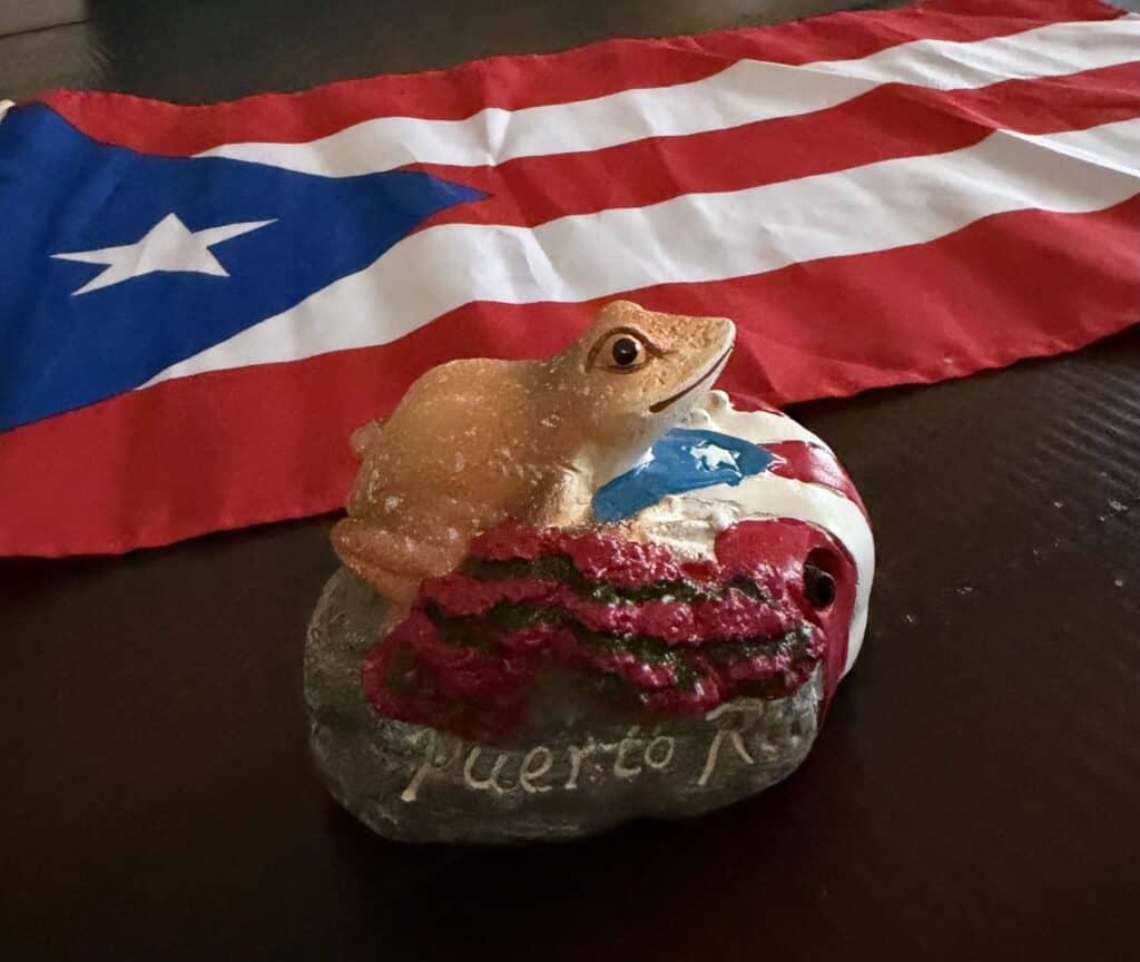 Souvenirs from Puerto Rico
