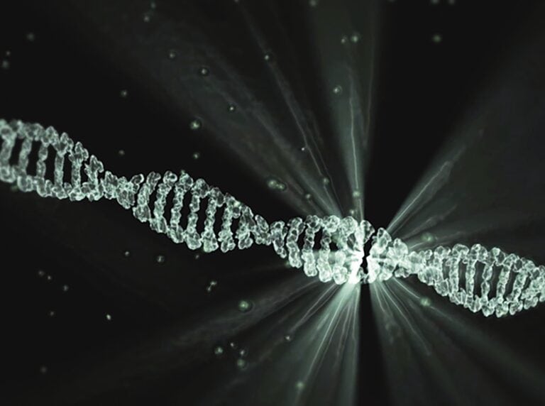 DNA, the study of which calls into question the validity of the term BIPOC